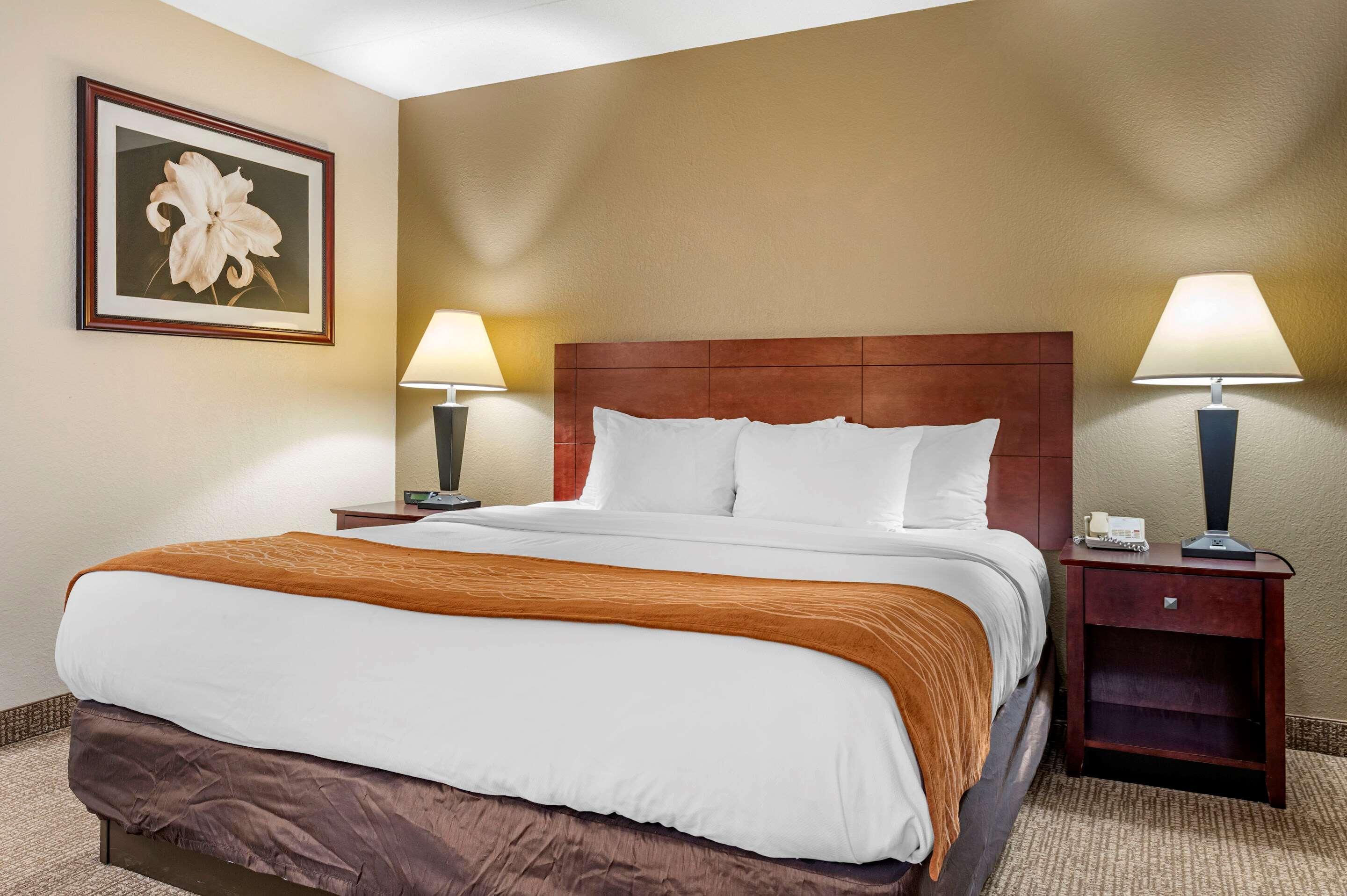Comfort Inn Northeast Мейсън Екстериор снимка